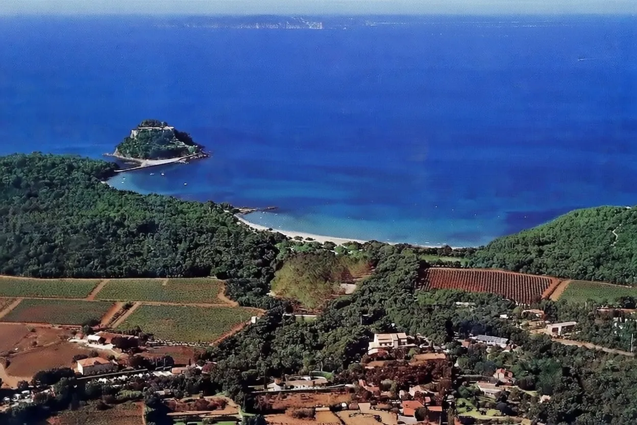 Aerial view of the hotel and the sea