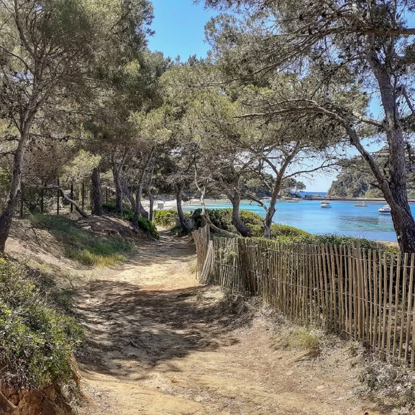 Coastal path leading to the beach
