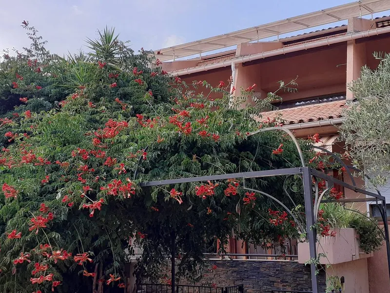 Vue sur les chambres côté sud 2